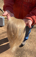 Person holding hackled flax fiber