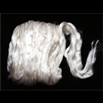 Image of silk fiber